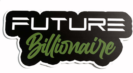 Colorful 'Future Billionaire' sign, 14" long, 6mm thick, anti-glare, part of new collection, fun decor item.