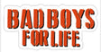 Colorful 'Bad Boys for Life' prop, vibrant design, part of new collection, anti-glare, 14 inches long.