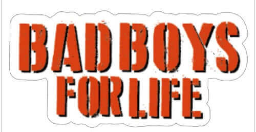 Colorful 'Bad Boys for Life' prop, vibrant design, part of new collection, anti-glare, 14 inches long.
